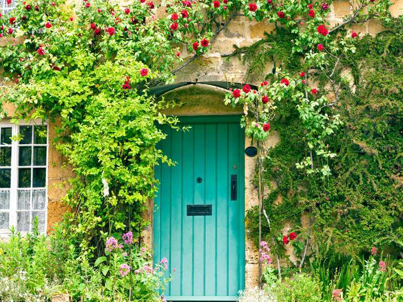 Cottage-Garten