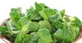 Feldsalat
