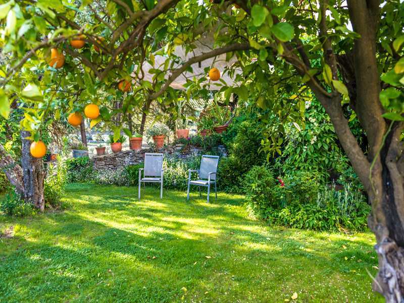 Garten