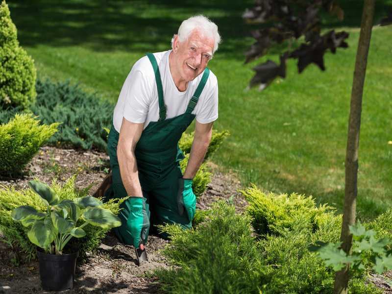 Garten anlegen