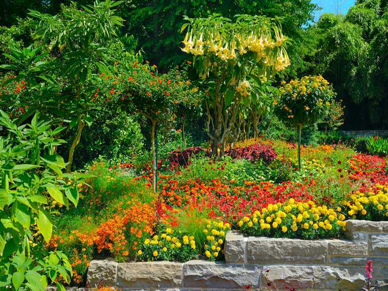 Gartengestaltung