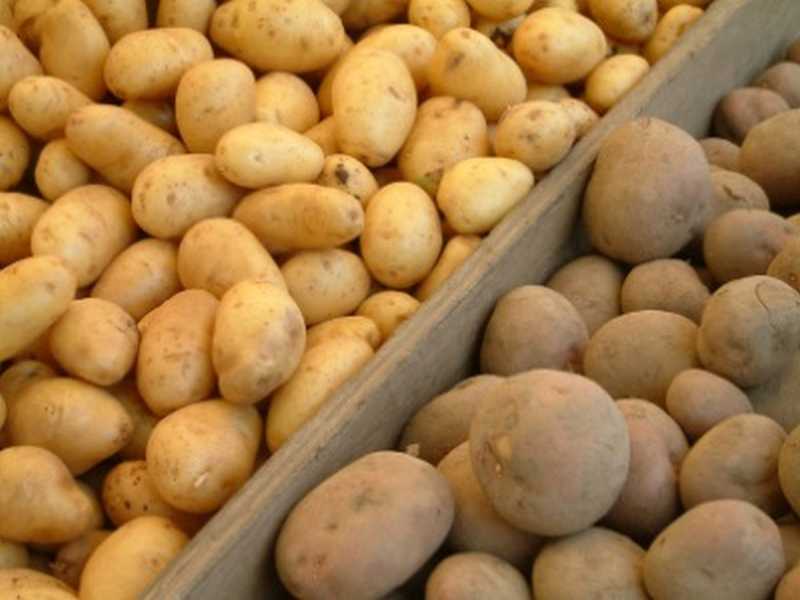 Kartoffeln