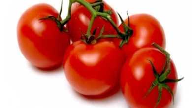 Tomaten