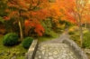 Gartentipps für den Herbst