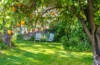 Der Garten im Sommer